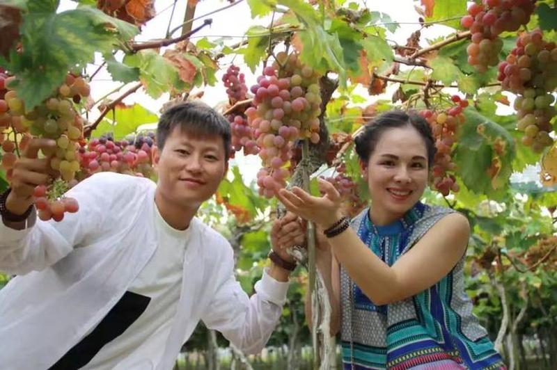 什么叫做男朋友吃葡萄(当男友喂葡萄到嘴边的甜蜜蜜意)-第1张图片-情感驿站