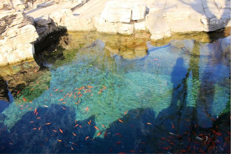 泉水嬉戏之妙道：从岸边到水中央-第1张图片-情感驿站