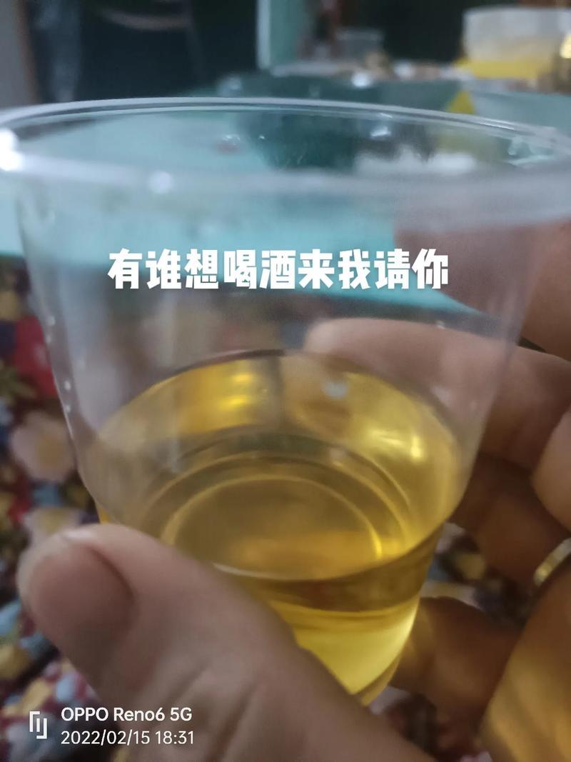 女友无理取闹可以冷落她吗—任性女友的无理取闹：令人抓狂的感情考验-第1张图片-情感驿站