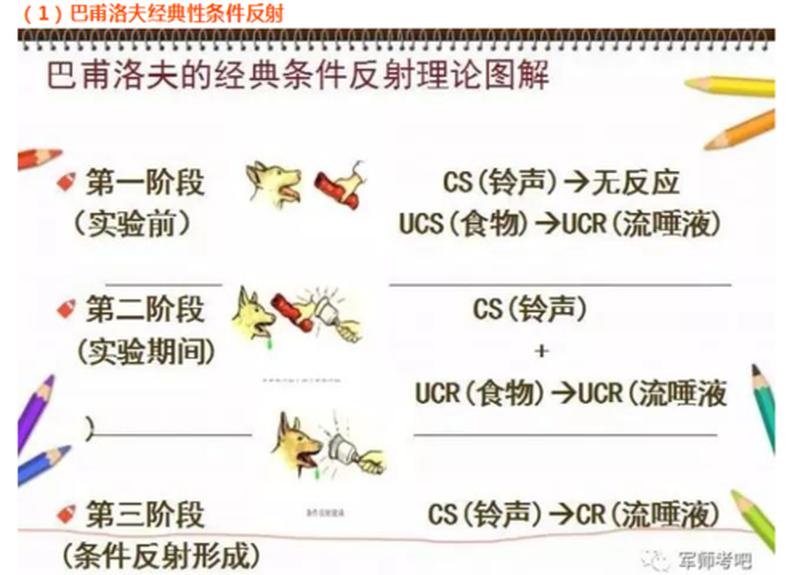 巴普洛夫的铃铛之谜:条件反射揭秘-第1张图片-情感驿站 巴普洛夫的铃铛之谜:条件反射揭秘-第1张图片-情感驿站