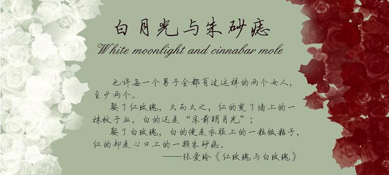 朱砂痣和白月光是什么意思(朱砂痣白月光的爱情密码：前世今生的糾葛)-第1张图片-情感驿站