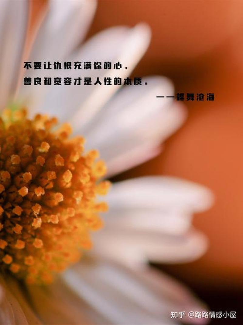情感的本质：灵魂深处的一场编织-第1张图片-情感驿站