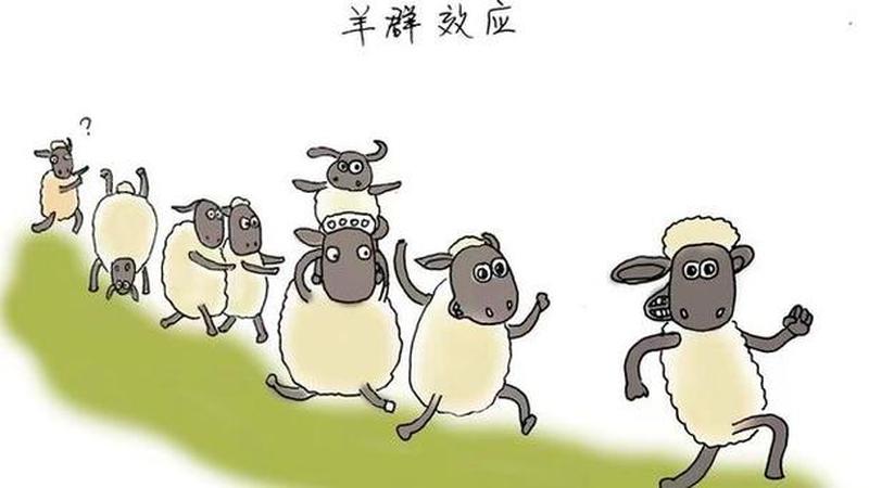 揭秘羊群效应：从众背后的心理黑洞-第1张图片-情感驿站