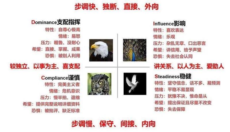 性格测试disc—DISC性格深度解析：揭开你内在的优势与挑战-第1张图片-情感驿站