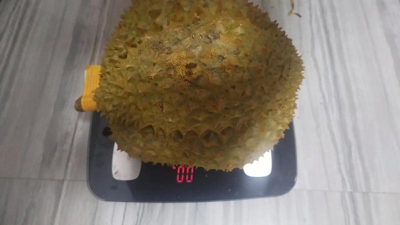 榴莲太生剥壳的应急处理方案-第1张图片-情感驿站