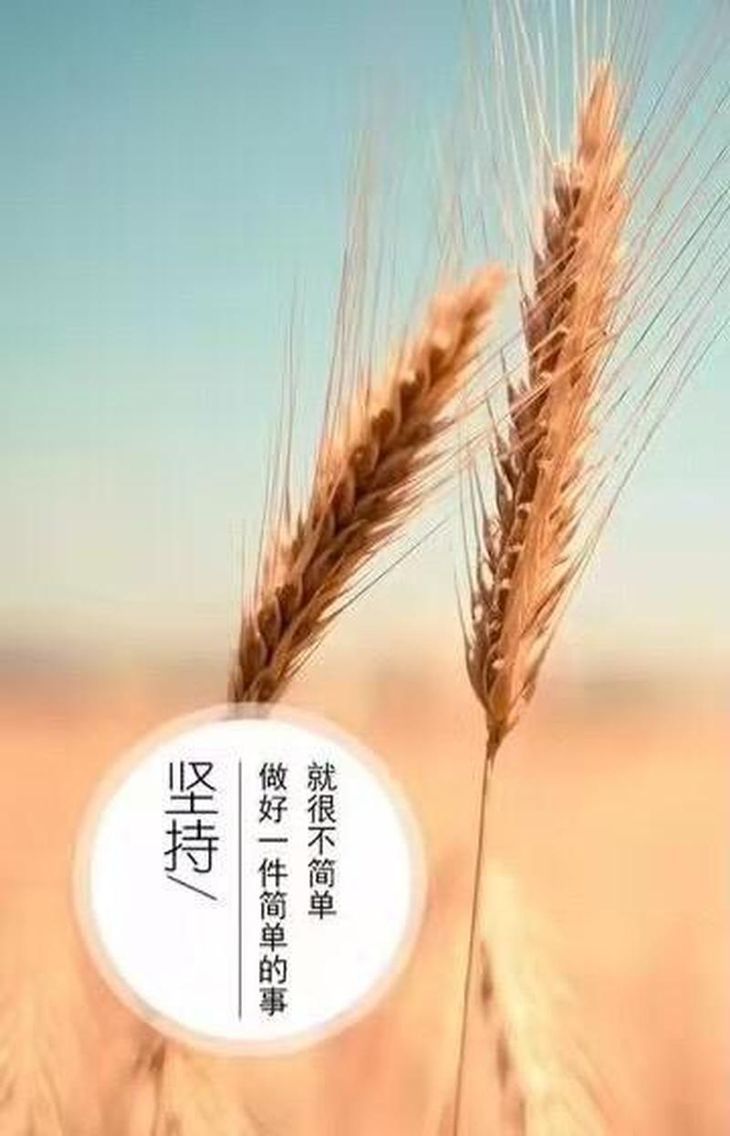 初二不想上学可以干嘛(初二辍学后的多元选择：探索非传统发展道路)-第1张图片-情感驿站