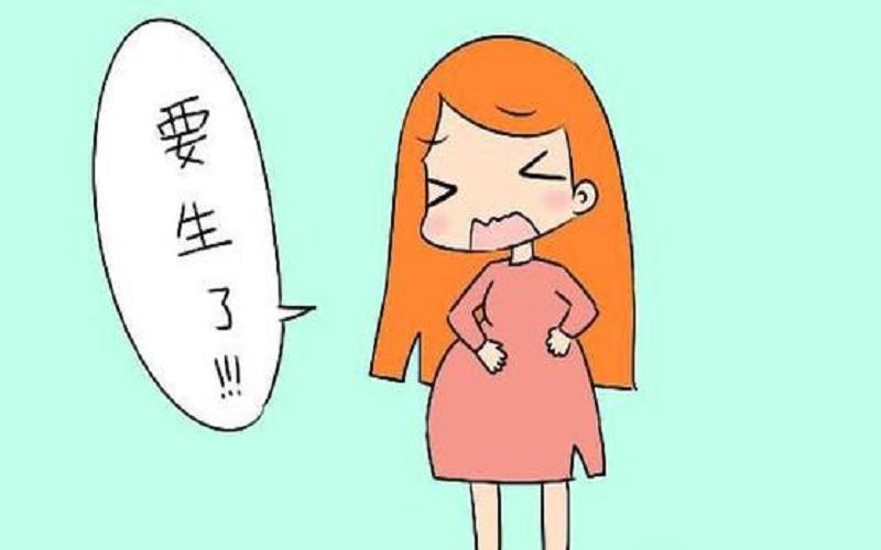 太多了子宫装不下了—子宫不堪重负，胎儿无处安身-第1张图片-情感驿站