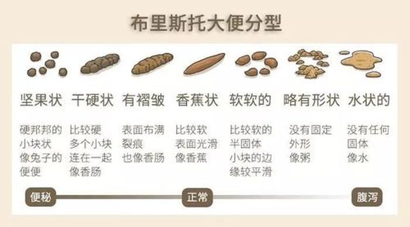 40岁女人几天一次大便算正常—40岁女性亲密频率指南，一天几次是健康？-第1张图片-情感驿站
