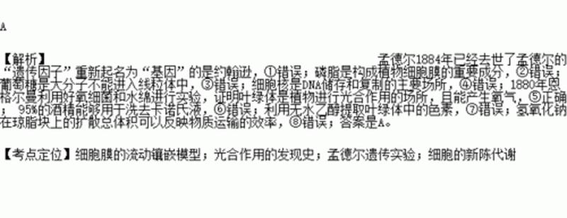 气质是由遗传决定的特性_气质之谜：基因藏玄机-第1张图片-情感驿站