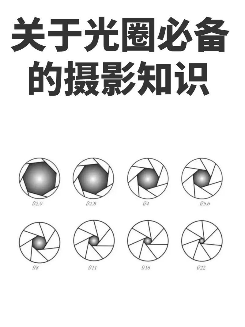图文教程—从零基础到摄影高手(50张)-第1张图片-情感驿站 图文教程—从零基础到摄影高手(50张)-第1张图片-情感驿站
