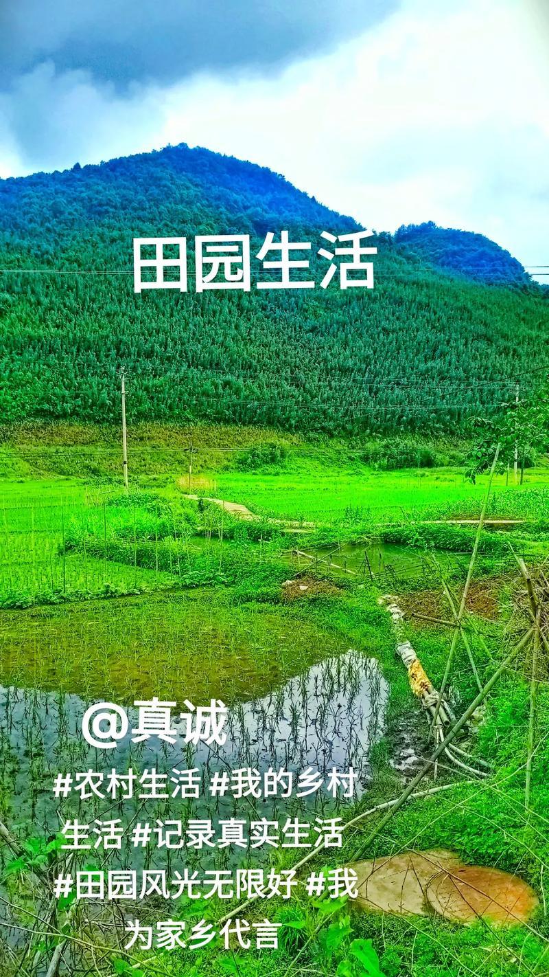 女人想让你耕地的暗示—女人的田园耕耘，隐秘的邀约-第1张图片-情感驿站
