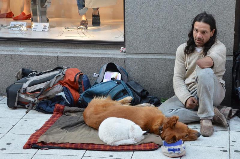 狗和人卡在一起的原因—毛绒羁绊：当忠犬与人类密不可分-第1张图片-情感驿站