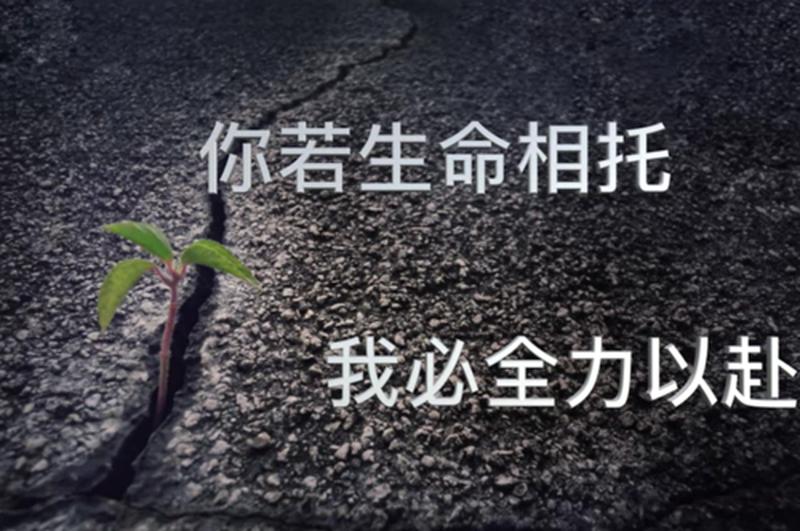 挚爱相托,莫辜负情缘-第1张图片-情感驿站 挚爱相托,莫辜负情缘-第1张图片-情感驿站
