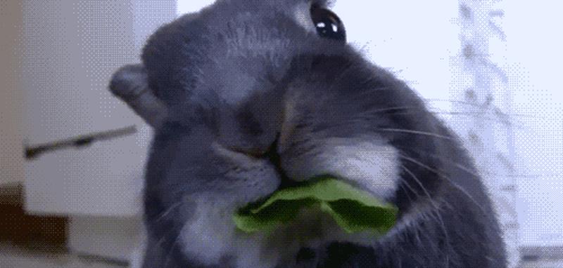 男朋友咬小兔兔时怎么回应他_男友咬小兔兔时，女生如何娇羞回应-第1张图片-情感驿站