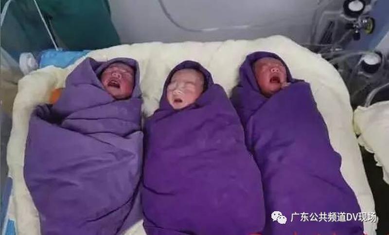 梦见自己怀了三胞胎女儿_梦中孕育三胞胎，母性之光的曙光-第1张图片-情感驿站