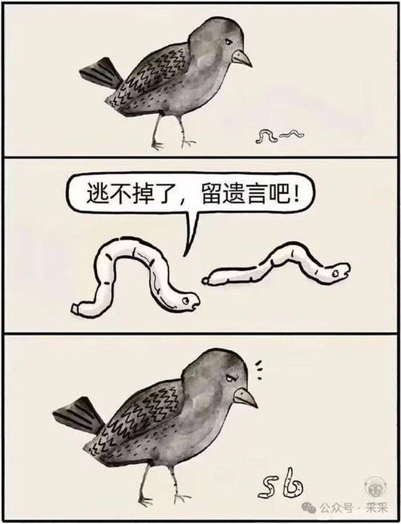 啊哈哈啊哈哈好棒—啊哈哈大爆笑,赞不绝口好棒棒-第1张图片-情感驿站 啊哈哈啊哈哈好棒—啊哈哈大爆笑,赞不绝口好棒棒-第1张图片-情感驿站