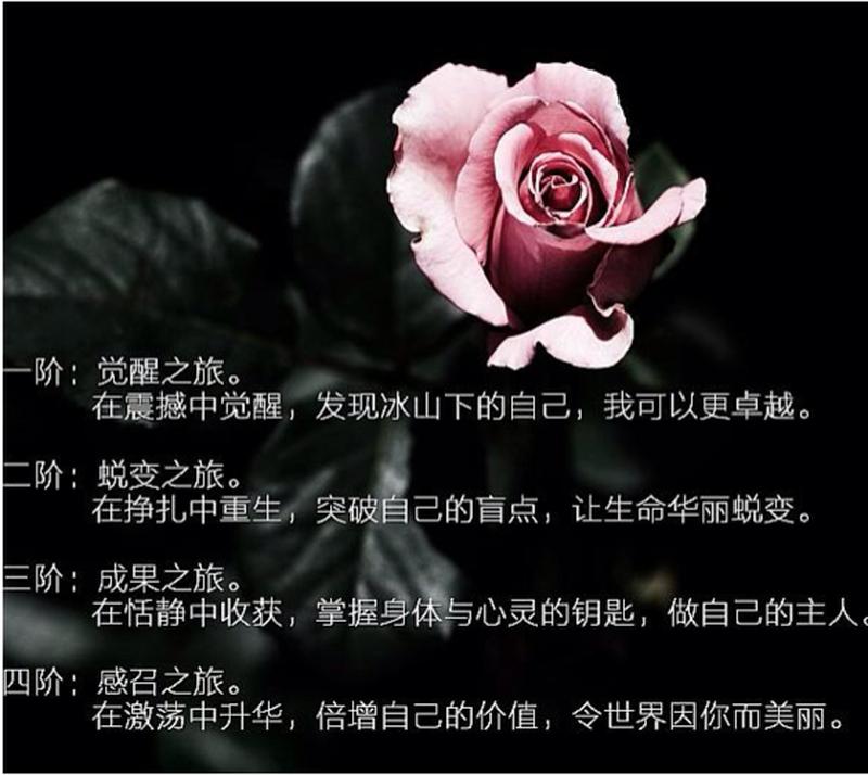 泪水洗涤后的心灵蜕变之旅-第1张图片-情感驿站