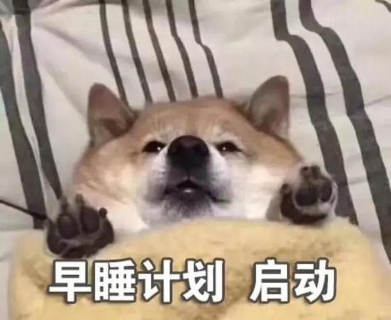 清醒躺一夜算熬夜吗—清醒一夜称休息 谬论还需推翻-第1张图片-情感驿站