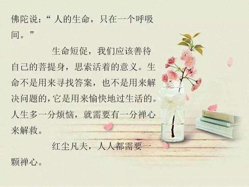 大彻大悟的10精美句子—悟道无极,十句精粹,醍醐灌顶-第1张图片-情感驿站 大彻大悟的10精美句子—悟道无极,十句精粹,醍醐灌顶-第1张图片-情感驿站