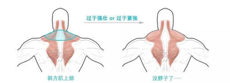 变大变粗的 *** —如何迅速增大尺寸：最强壮最粗长的秘诀-第1张图片-情感驿站