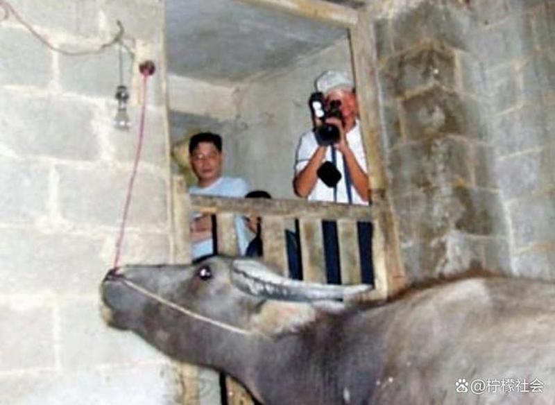 主人我错了能不能关掉开关_课堂惊魂：跳D失控的尴尬瞬间-第1张图片-情感驿站