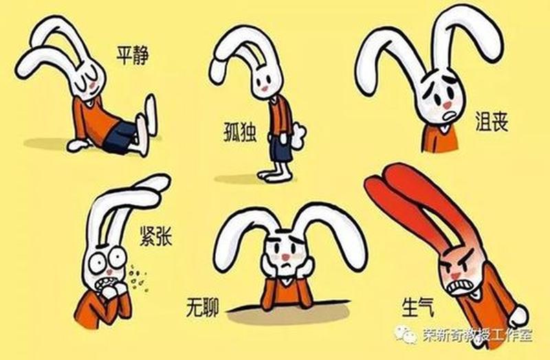 合理情绪疗法abcde分别代表什么_情绪理性关照:疗愈心灵困扰的钥匙-第1张图片-情感驿站 合理情绪疗法abcde分别代表什么_情绪理性关照:疗愈心灵困扰的钥匙-第1张图片-情感驿站