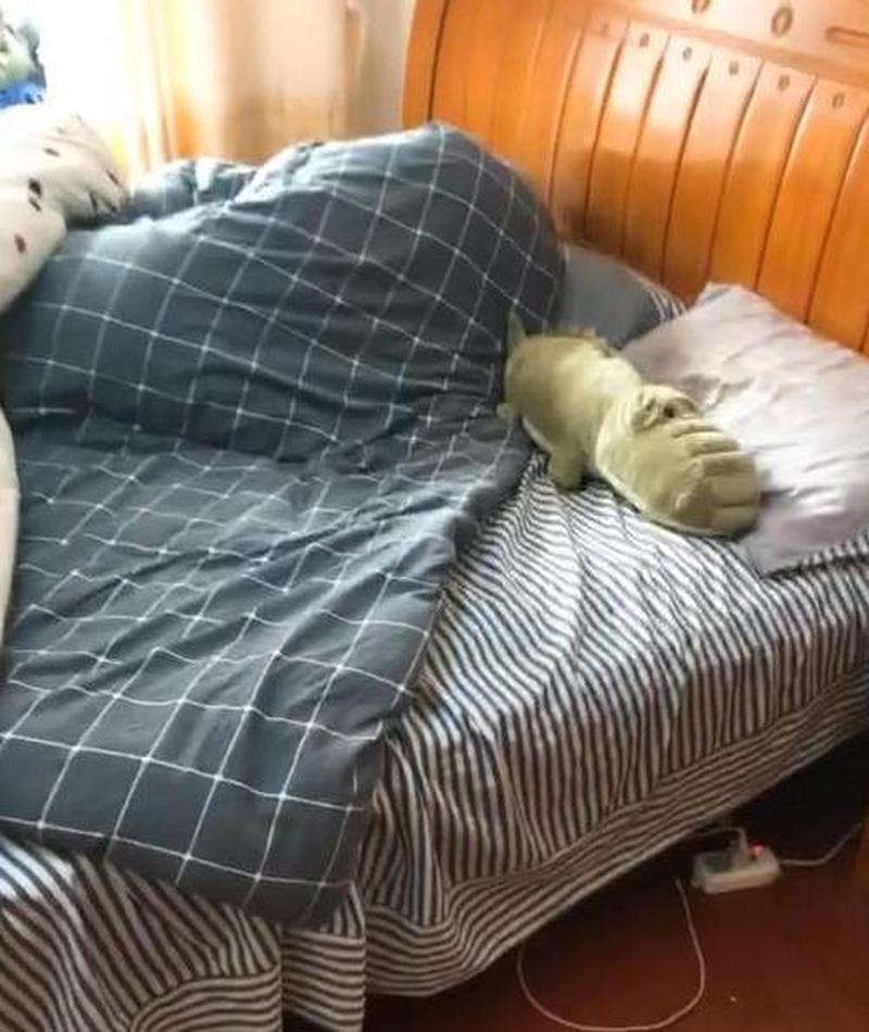 拔萝卜打牌不盖被子(扑克摇床火热 ***  痛快 *** 声声入耳)-第1张图片-情感驿站