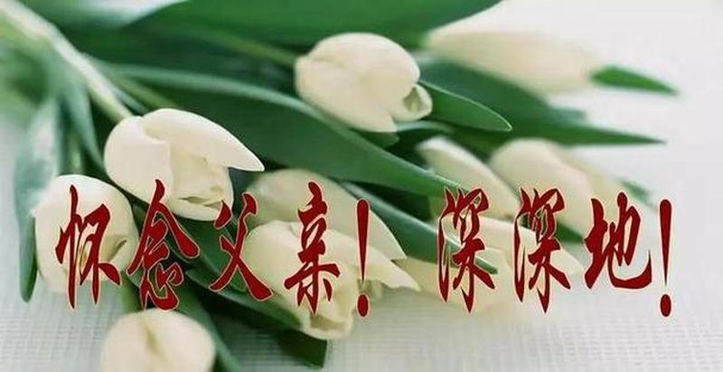 女儿对逝去父亲的思念显示了什么_暮雪寻踪，寄语故父-第1张图片-情感驿站