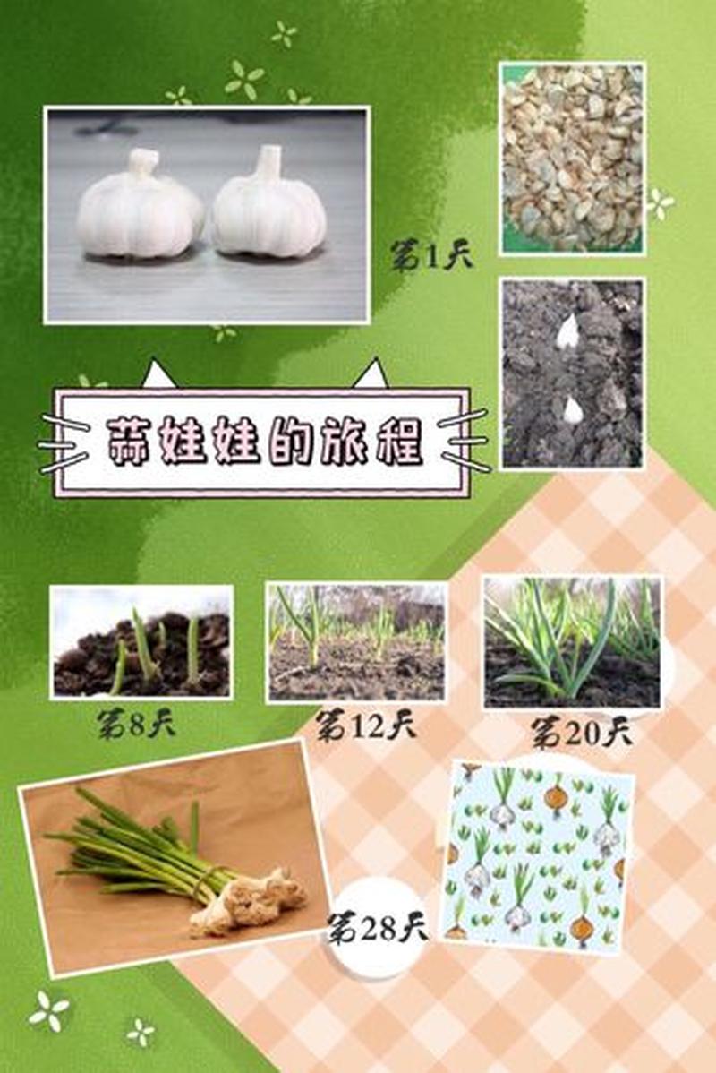 感冒吃了会怎么样_入口的惊人旅程:揭秘生理反应和潜在影响-第1张图片-情感驿站 感冒吃了会怎么样_入口的惊人旅程:揭秘生理反应和潜在影响-第1张图片-情感驿站