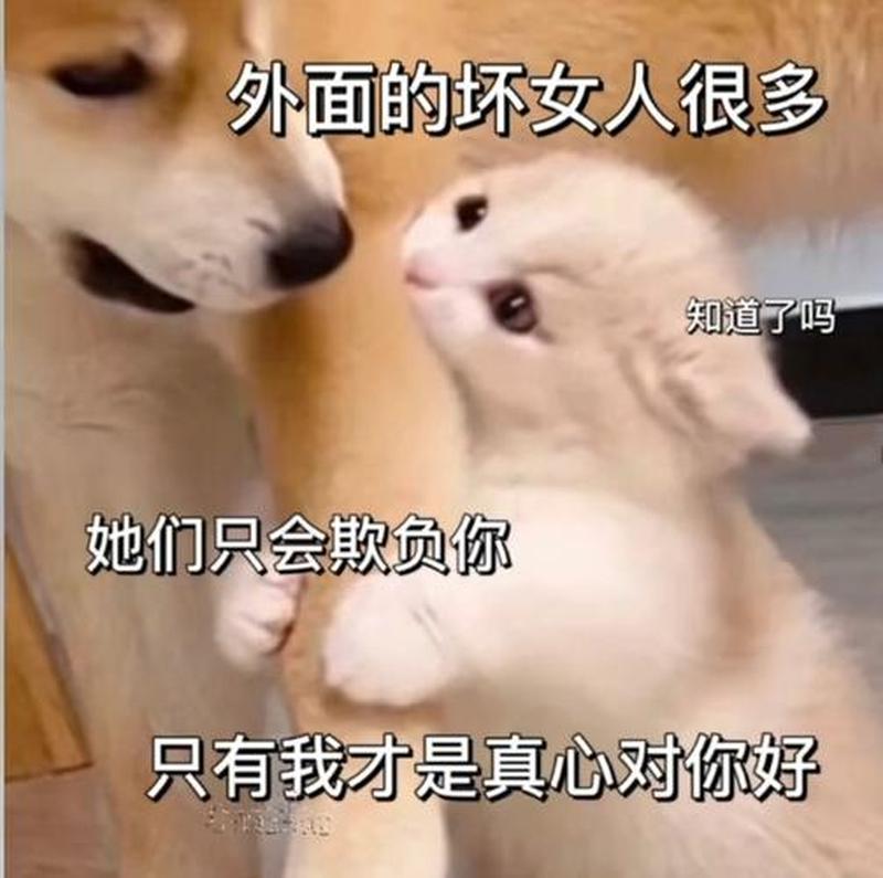 男朋友都是怎样要你的(揭秘男友索要的真正需求)-第1张图片-情感驿站 男朋友都是怎样要你的(揭秘男友索要的真正需求)-第1张图片-情感驿站