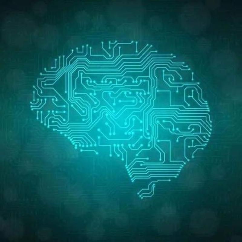 女生加速尖叫的科学探究：揭秘背后的生理与心理机制-第1张图片-情感驿站