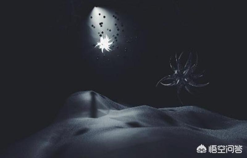 亡人托梦必有事端_亡魂夜叩梦扉，预兆吉凶难测-第1张图片-情感驿站