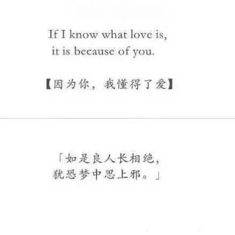晴空下的百次告白：真爱不言弃，追爱永不止息-第1张图片-情感驿站