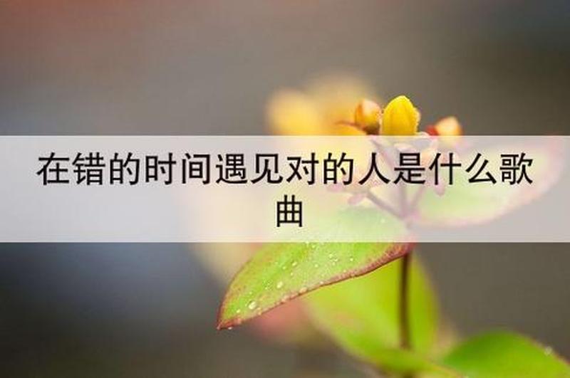 什么叫错的时间遇到对的人_缘逢佳人错光阴-第1张图片-情感驿站