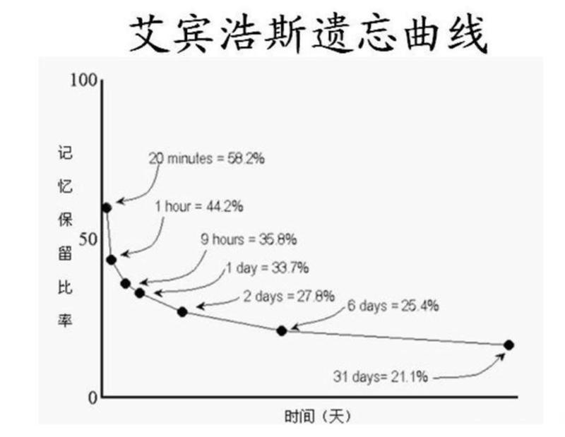 人的遗忘曲线_遗忘的涟漪:大脑记忆的起伏流转-第1张图片-情感驿站 人的遗忘曲线_遗忘的涟漪:大脑记忆的起伏流转-第1张图片-情感驿站