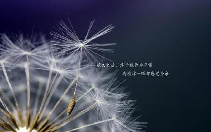 如何释放压抑的情绪句子简短_释放心绪,释放压抑,重拾内心的宁静-第1张图片-情感驿站 如何释放压抑的情绪句子简短_释放心绪,释放压抑,重拾内心的宁静-第1张图片-情感驿站