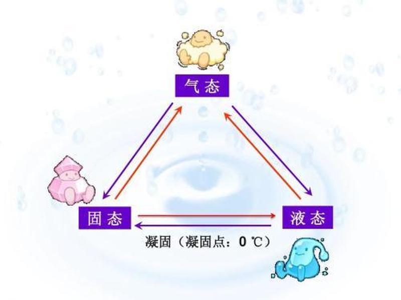 水多重要还是紧致重要_紧跟水多哪般妙 揭秘水足好处的秘密-第1张图片-情感驿站