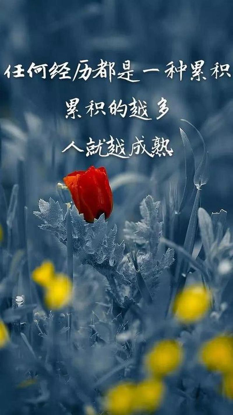 爱钻牛角尖的漩涡：从执着到解脱-第1张图片-情感驿站