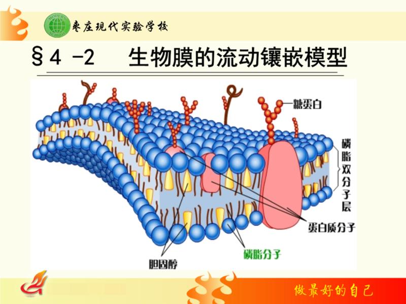 怎么检查自己膜还在吗(确认膜的存在:自我检查指南)-第1张图片-情感驿站 怎么检查自己膜还在吗(确认膜的存在:自我检查指南)-第1张图片-情感驿站