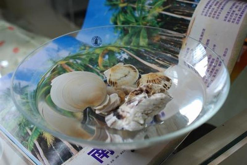 再迈一步,贝壳尽开,鲜美尽享-第1张图片-情感驿站 再迈一步,贝壳尽开,鲜美尽享-第1张图片-情感驿站