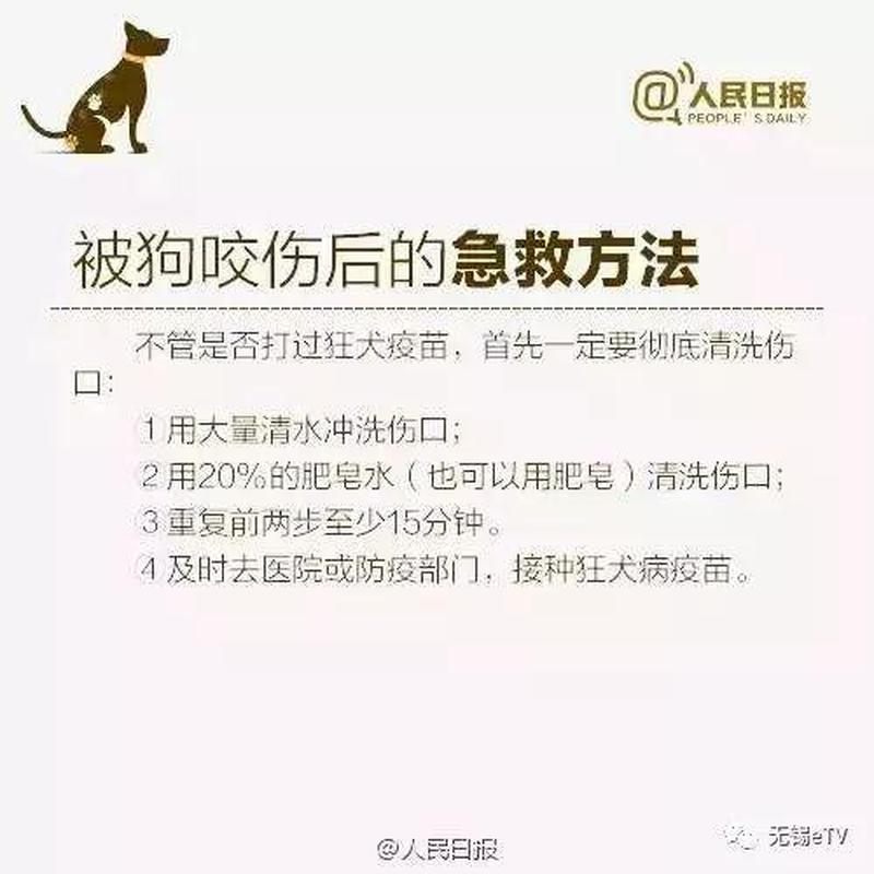 狗咬后多久算是安全了_狗咬后观察期 确保无狂犬风险-第1张图片-情感驿站