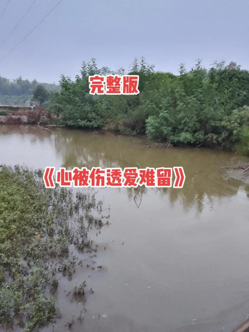 情为何物：爱的定义寻踪探秘-第1张图片-情感驿站