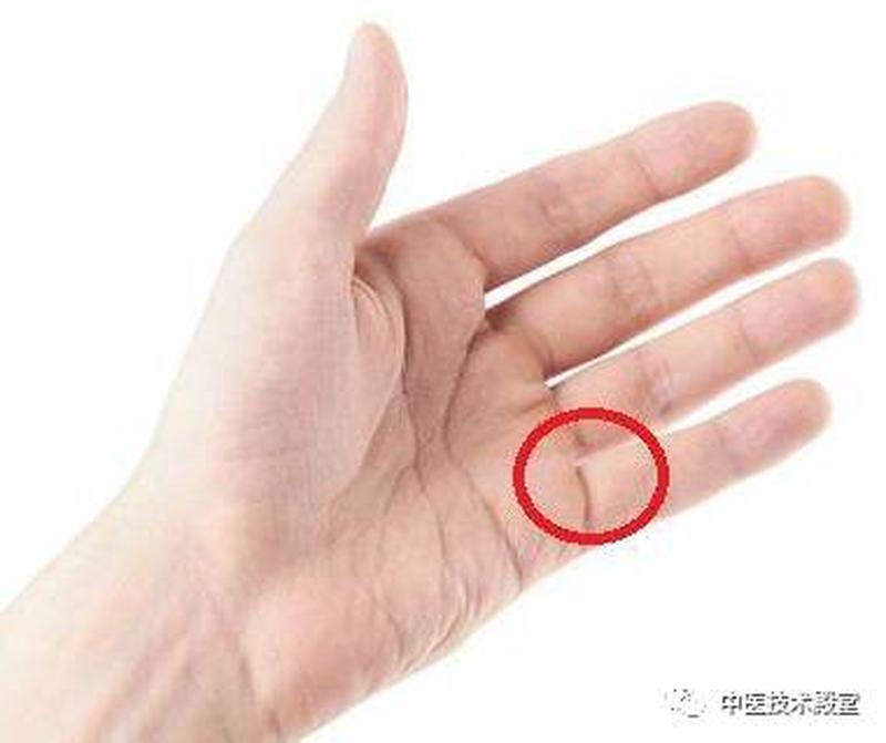 没做过的能放进几个指节(几节指间纳新物，窥探深藏有趣事)-第1张图片-情感驿站