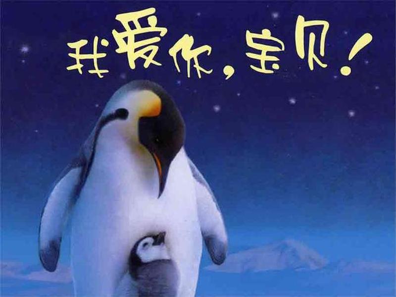 宝贝儿告诉我这样舒服吗英语_宝贝，告诉我，这样亲近你舒服吗？-第1张图片-情感驿站