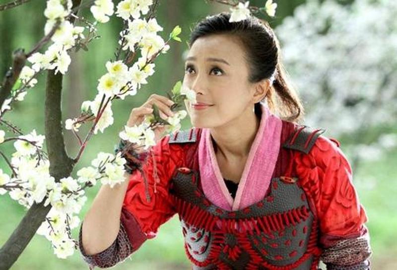 大唐女將樊梨花(大唐巾幗奇緣：樊梨花傳奇)