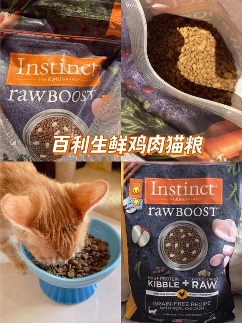 猫粮哪个好？_营养猫粮，守护爱猫的健康-第1张图片-猫咪屋