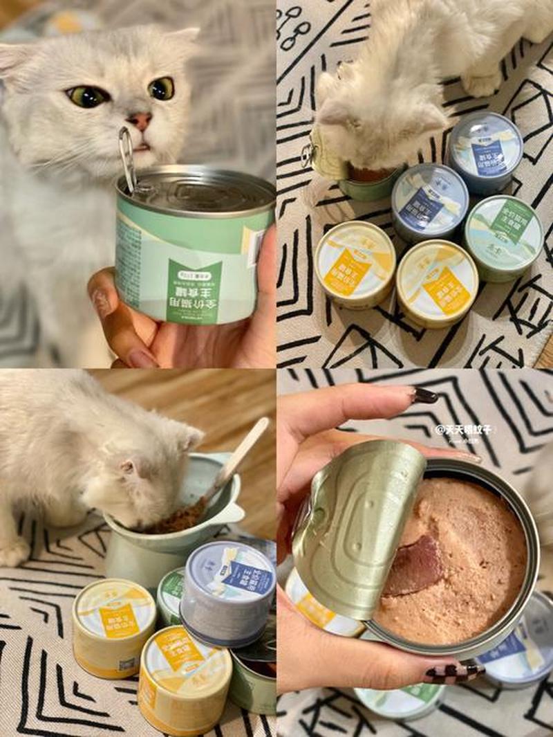 猫粮和罐头混一起多久变质—严禁混喂猫粮罐头，保障喵星健康-第1张图片-猫咪屋