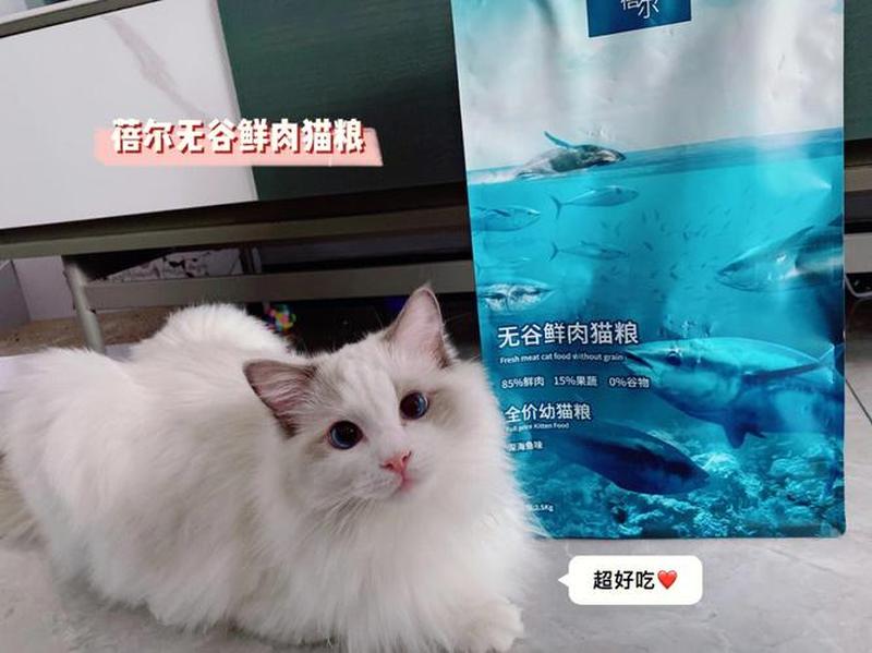 布偶猫喂什么_布偶猫喂什么牌子猫粮-第1张图片-猫咪屋