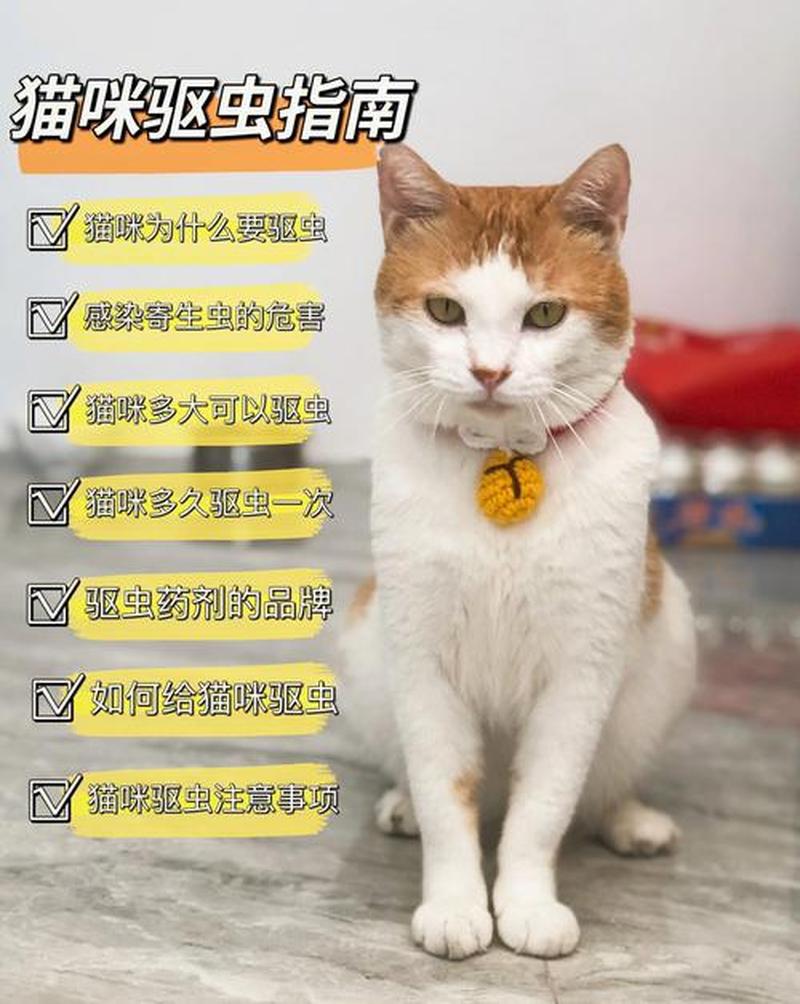 养猫人应该驱虫吗_养猫人快行动体内驱虫别等虫虫上身-第1张图片-猫咪屋