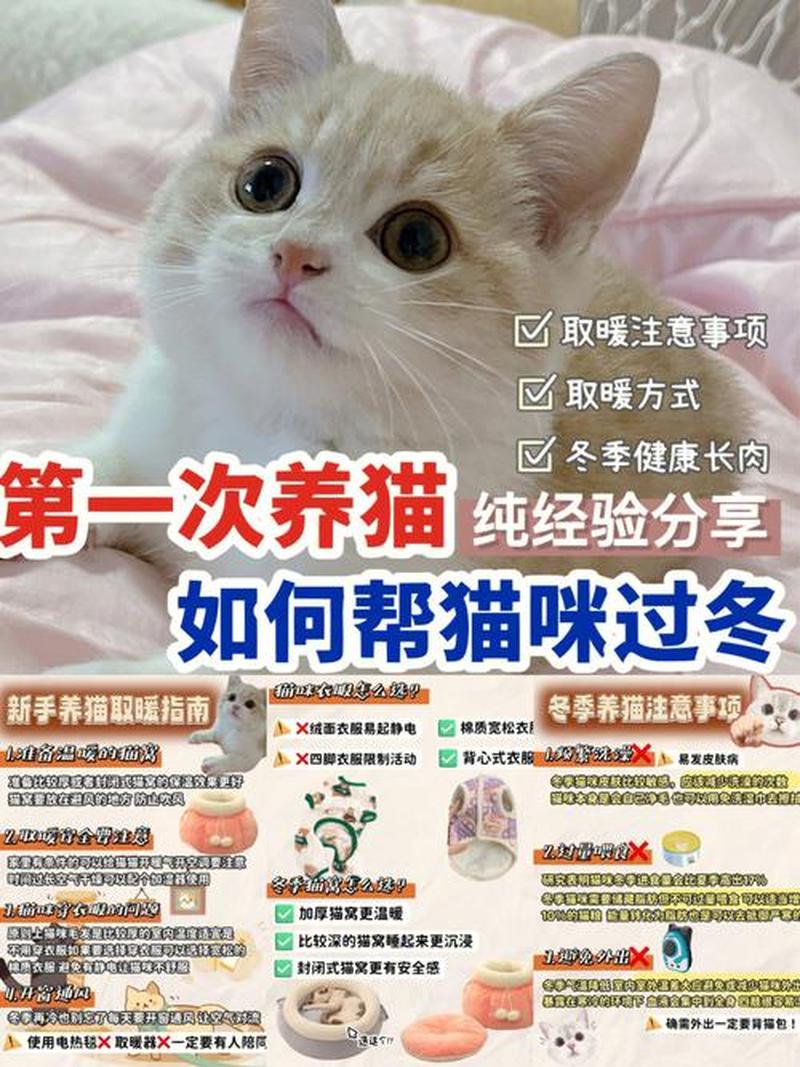 养猫如何保持卫生干净—猫咪洁净指南：卫生的守护者-第1张图片-猫咪屋